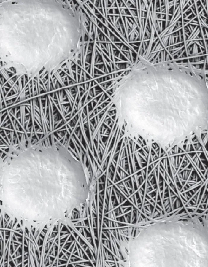 Spunbond filaments